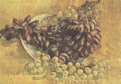 Vincent Van Gogh Still life wtih Grapes (nn04)